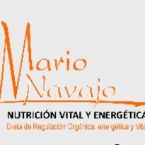 Mario Navajo